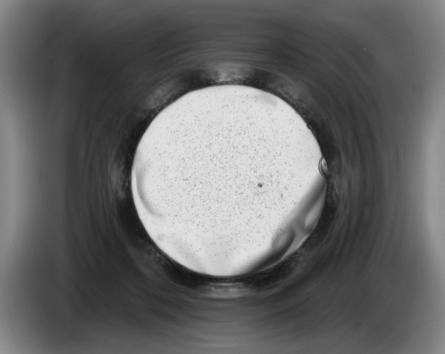 X0000086270316200704191930