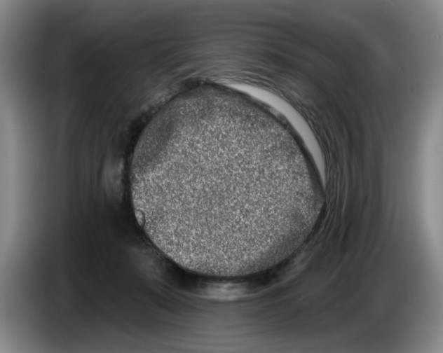 X0000086270319200704191930