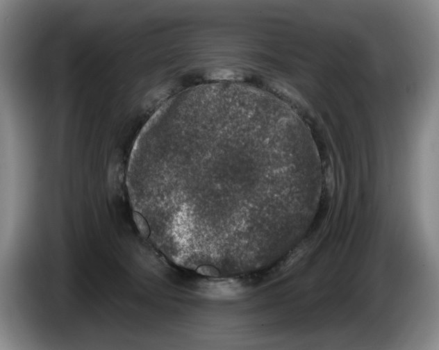 X0000086270322200704191930