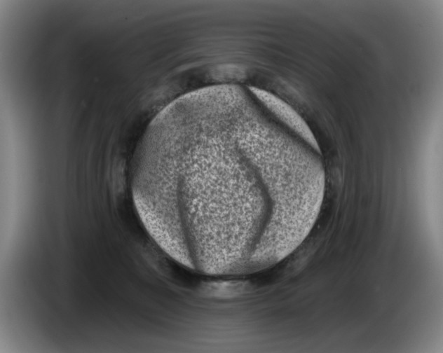 X0000086270323200704191930