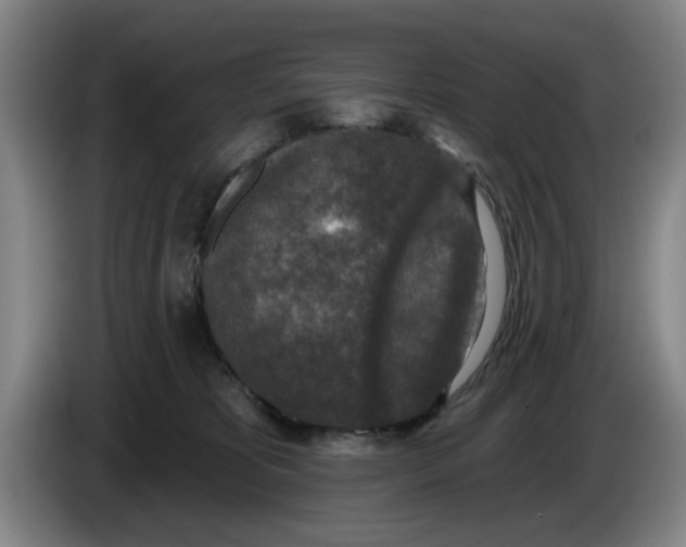 X0000086270325200704191930