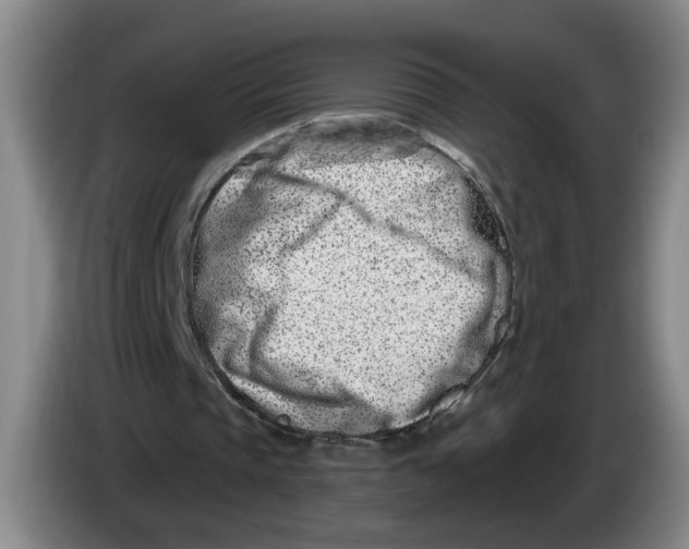 X0000086270337200704191929