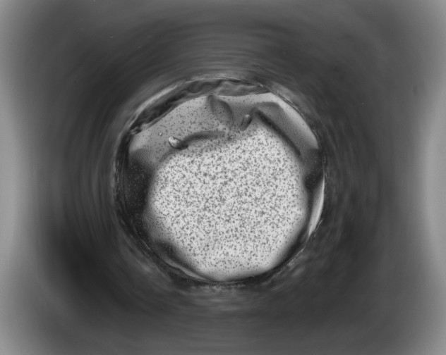 X0000086270338200704191929