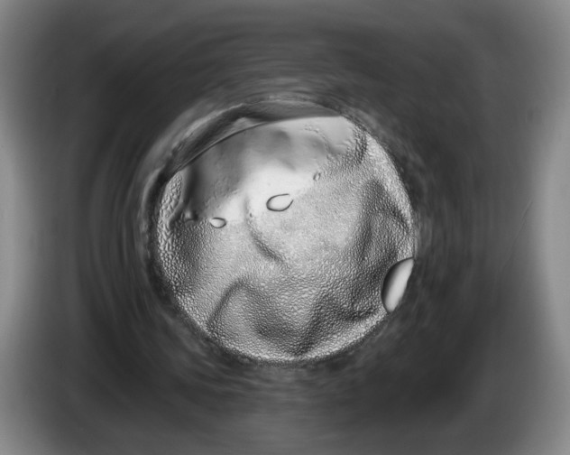 X0000086270339200704191929