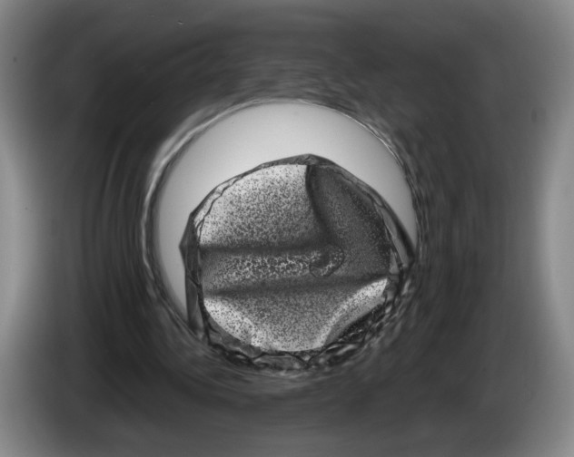 X0000086270340200704191929