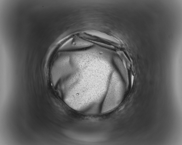 X0000086270343200704191929