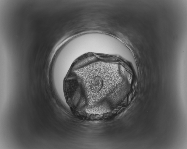 X0000086270344200704191929