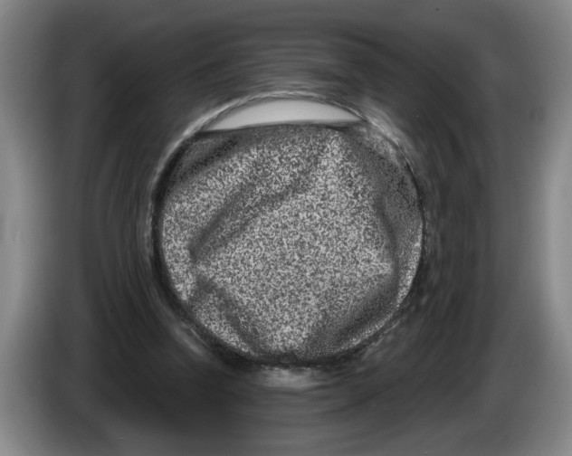 X0000086270346200704191929