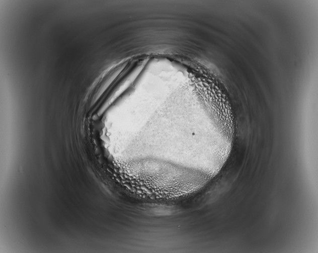 X0000086270347200704191929