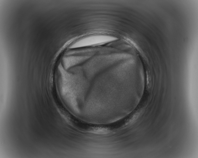 X0000086270348200704191929