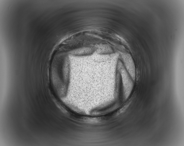 X0000086270349200704191929