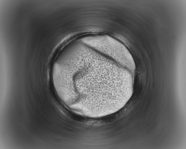 X0000086270350200704191929