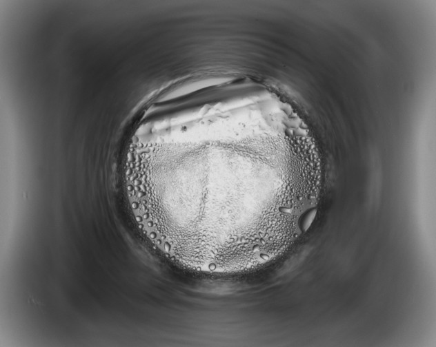 X0000086270351200704191929