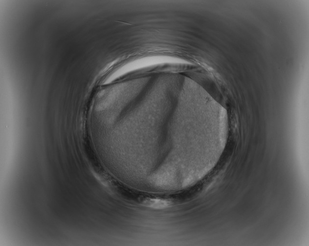 X0000086270352200704191929