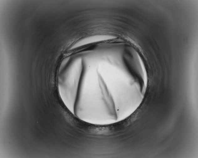 X0000086270353200704191929