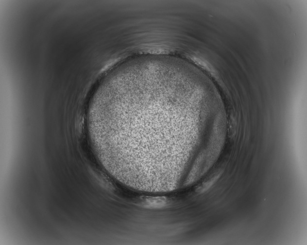 X0000086270355200704191929