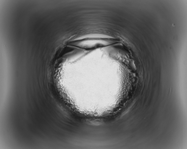 X0000086270359200704191930