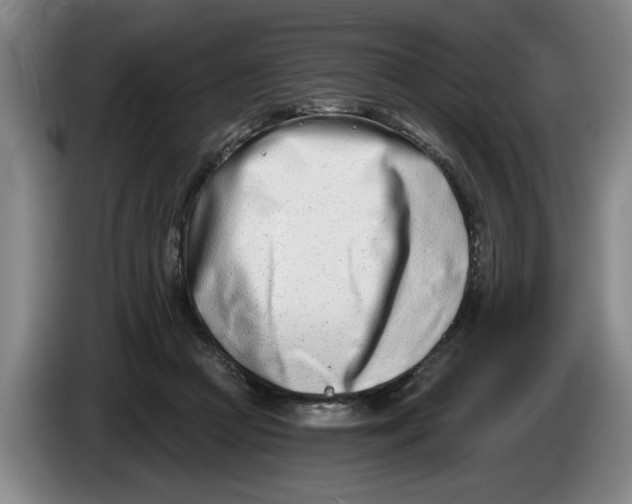 X0000086270361200704191930