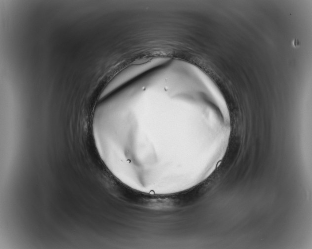 X0000086270363200704191930