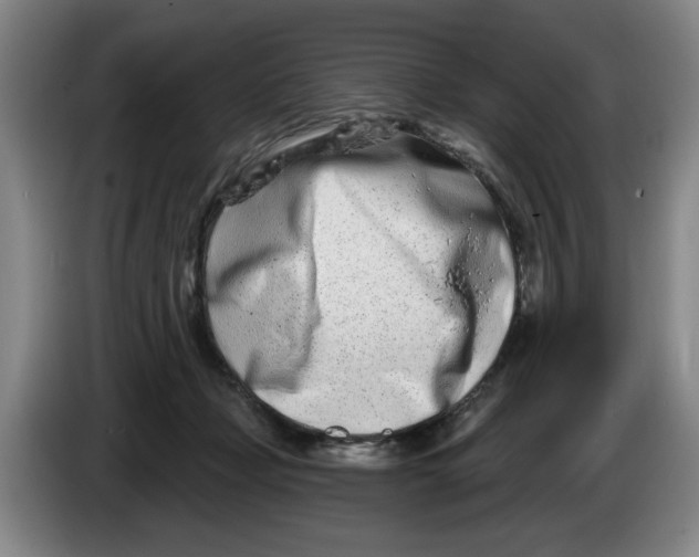 X0000086270365200704191930