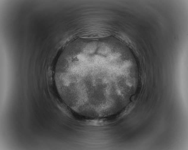 X0000086270366200704191930