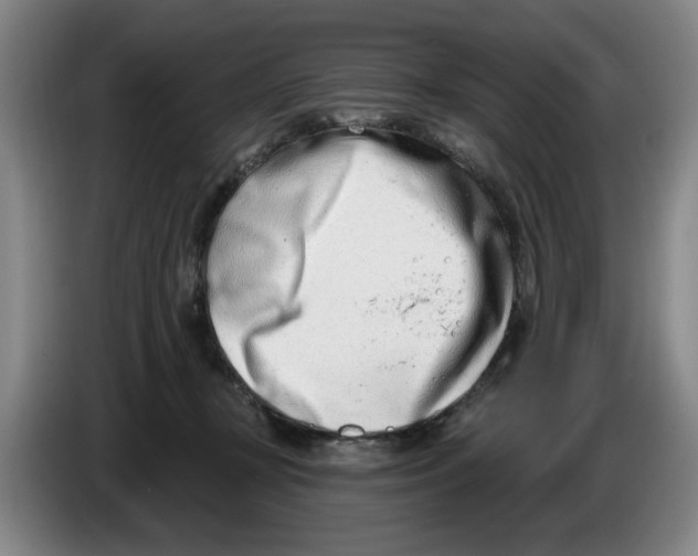 X0000086270367200704191930