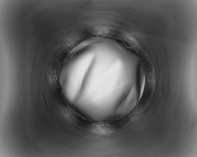 X0000086270372200704191930