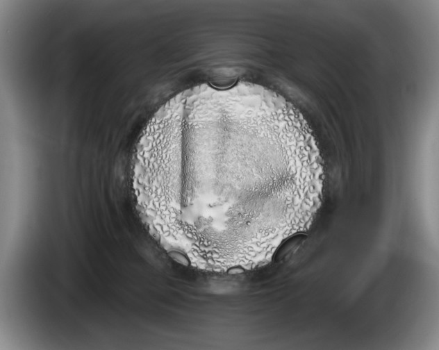 X0000086270373200704191930