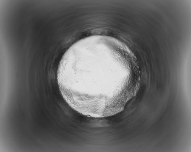 X0000086270375200704191930