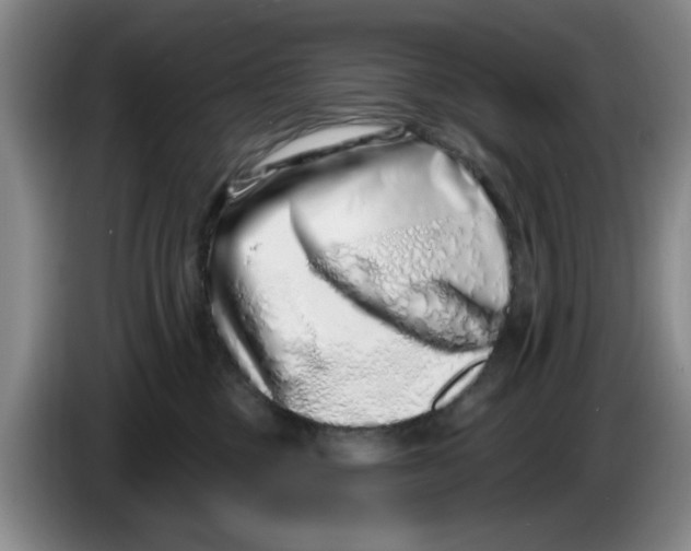 X0000086270377200704191930