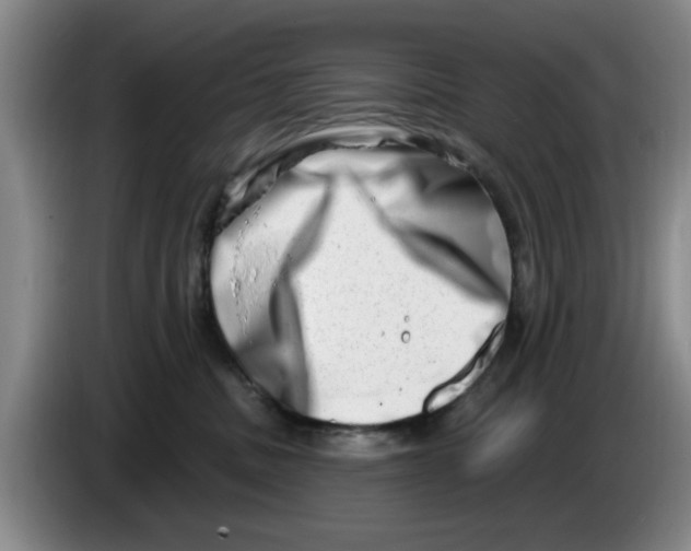 X0000086270379200704191930