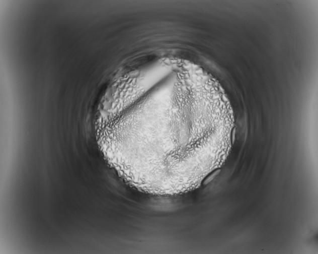 X0000086270381200704191930