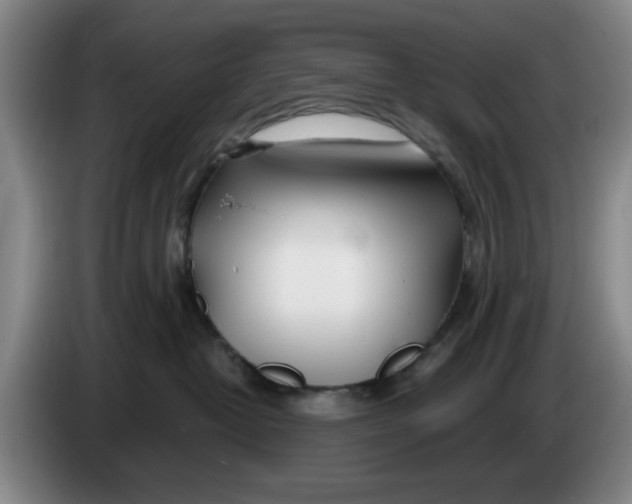 X0000086270382200704191930