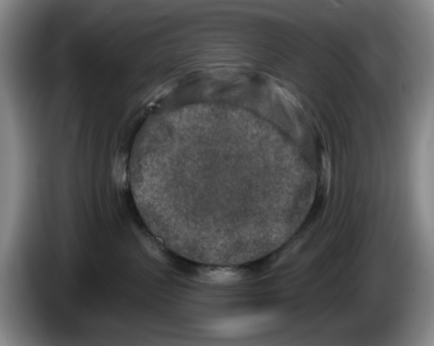 X0000086270383200704191930