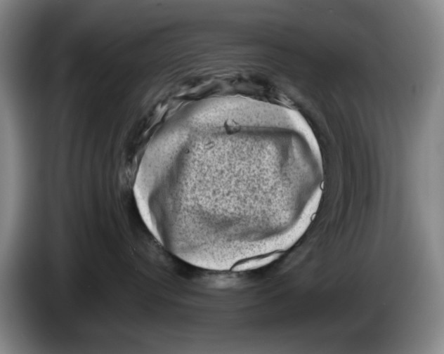 X0000086270384200704191930