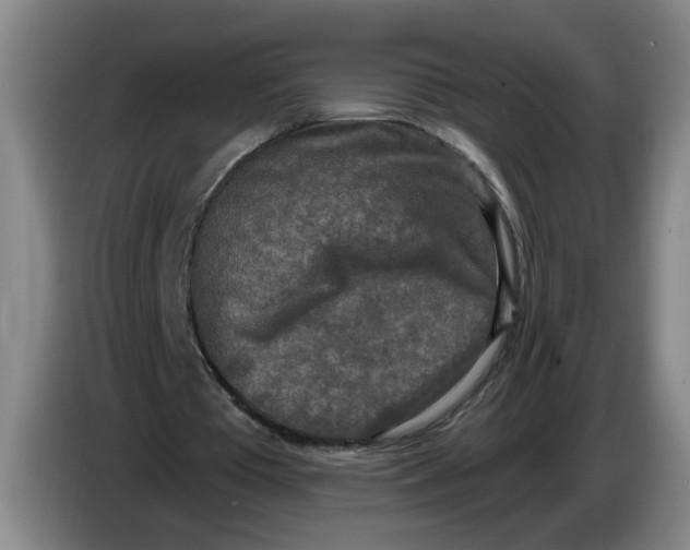 X0000086270385200704191929