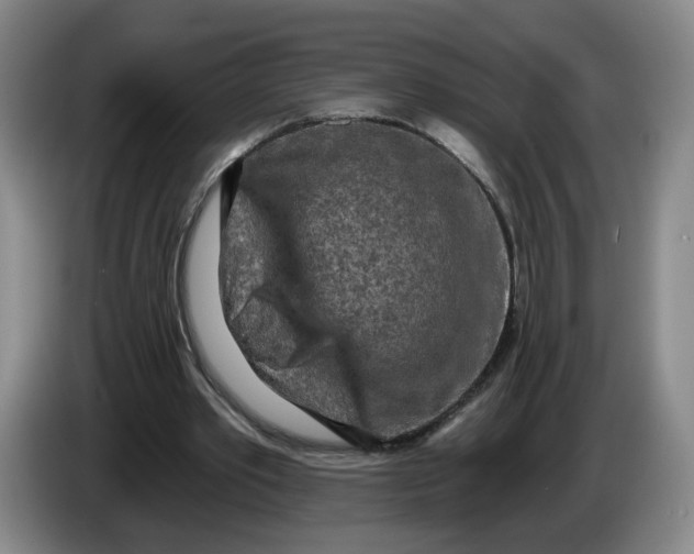 X0000086270389200704191929