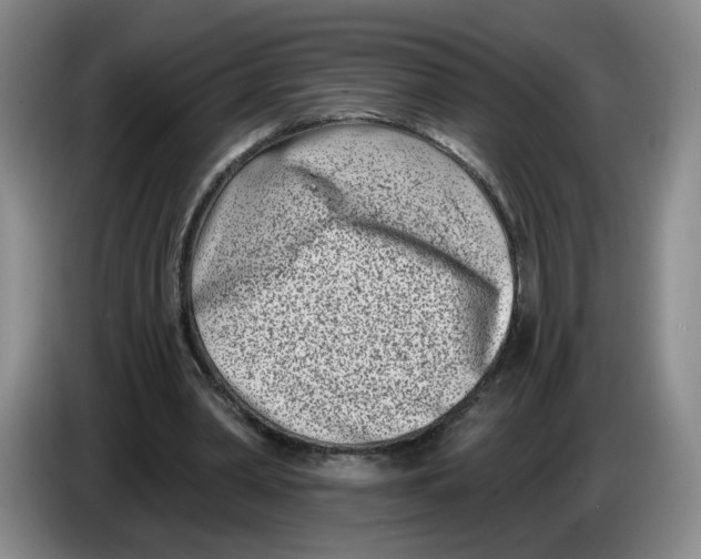 X0000086270390200704191929