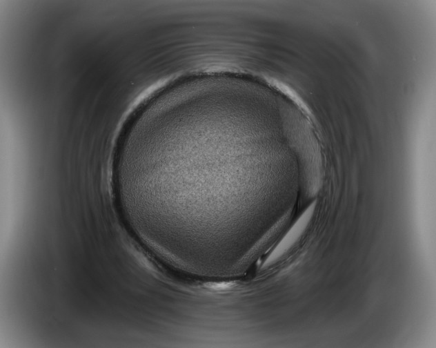 X0000086270391200704191929