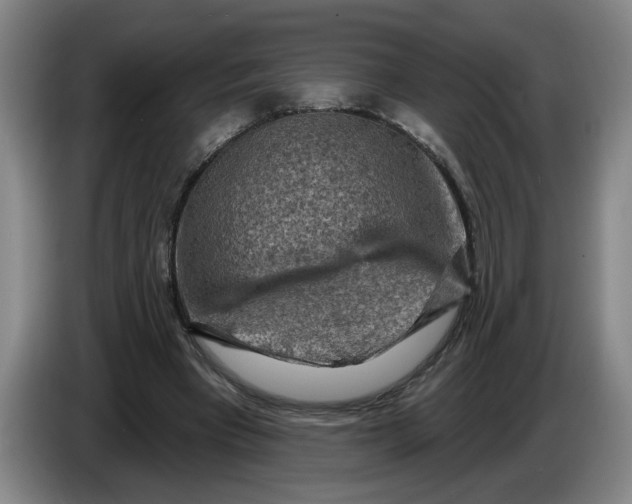 X0000086270393200704191929