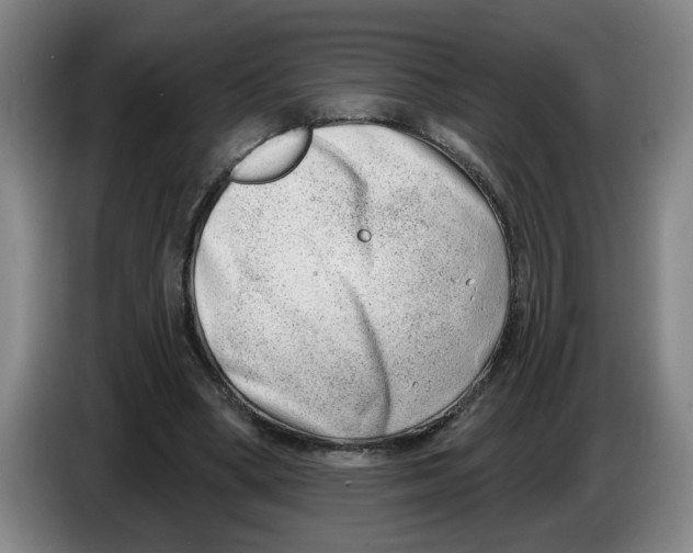 X0000086270394200704191929