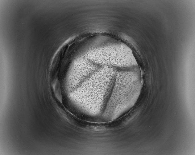 X0000086270395200704191929