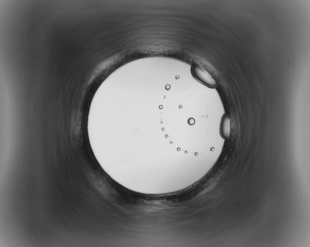 X0000086270396200704191929