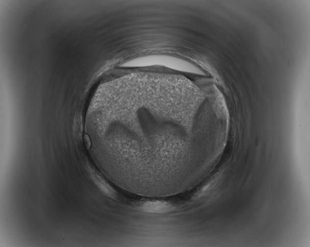 X0000086270397200704191929