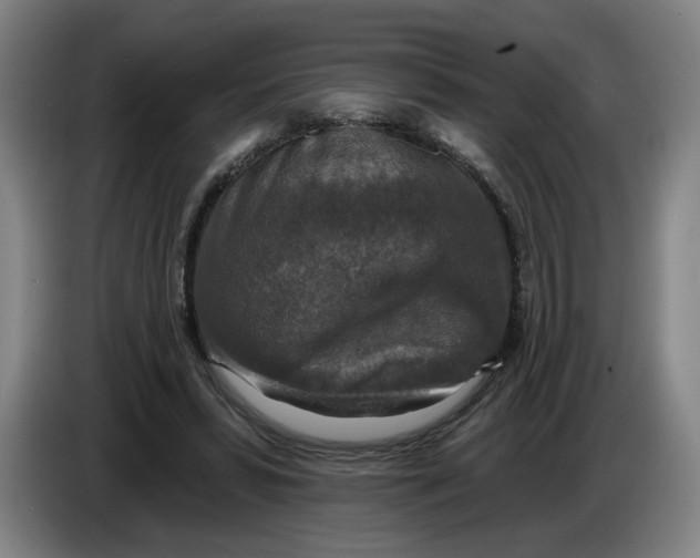 X0000086270399200704191929