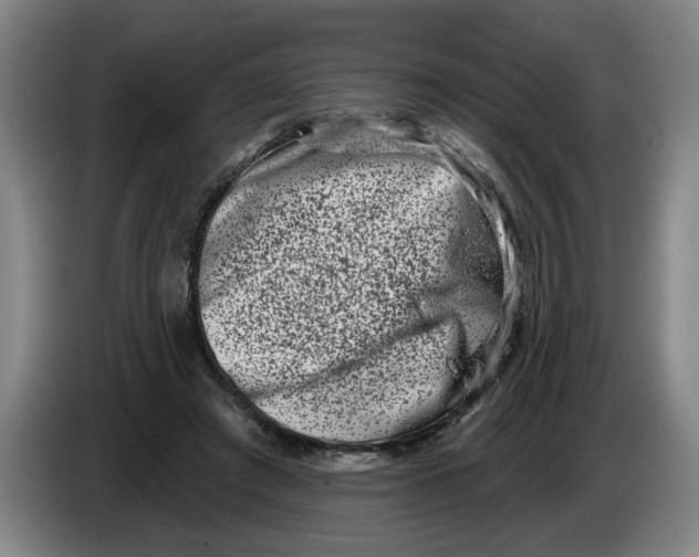 X0000086270401200704191929