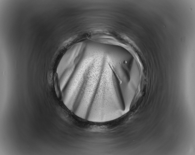 X0000086270403200704191929