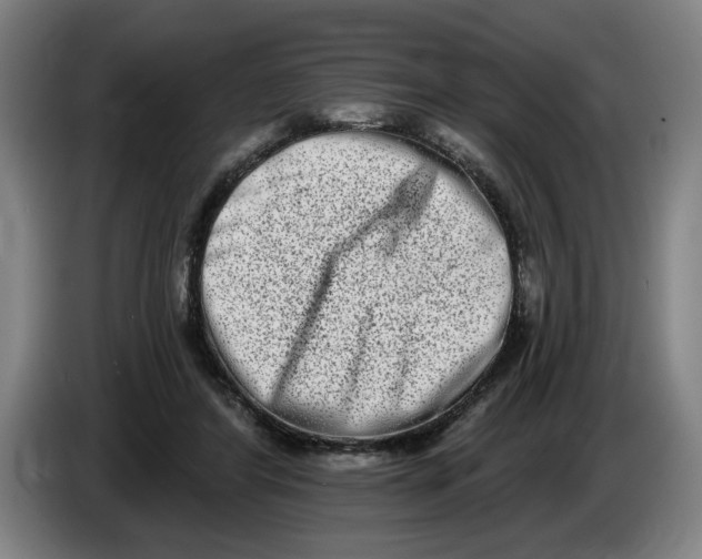 X0000086270404200704191929