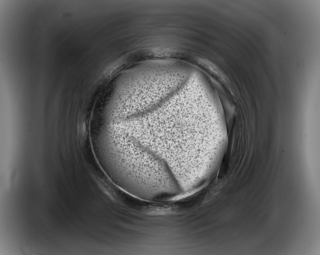 X0000086270405200704191929