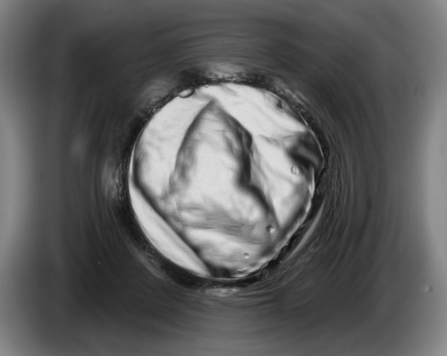 X0000086270408200704191929